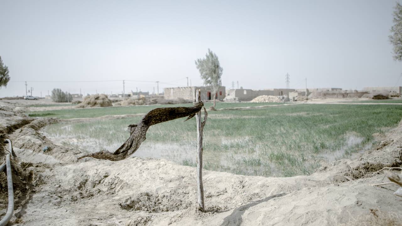 Klimawandel im Südosten von Iran
