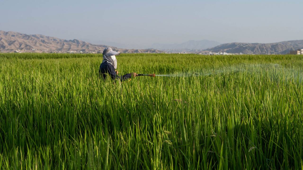 Wasser und Proteste in Iran