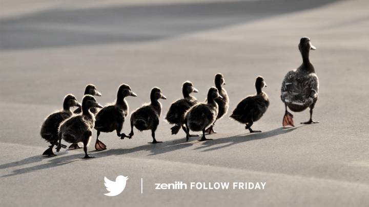 Follow Friday