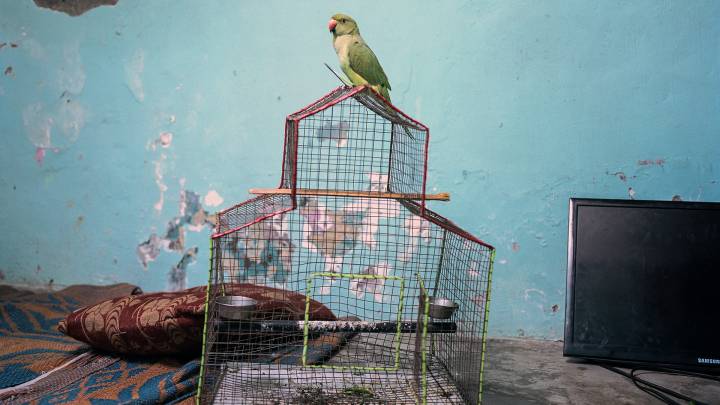 Ausstellung Mémoire Temporelle des Fotografen Kalpesh Lathigra